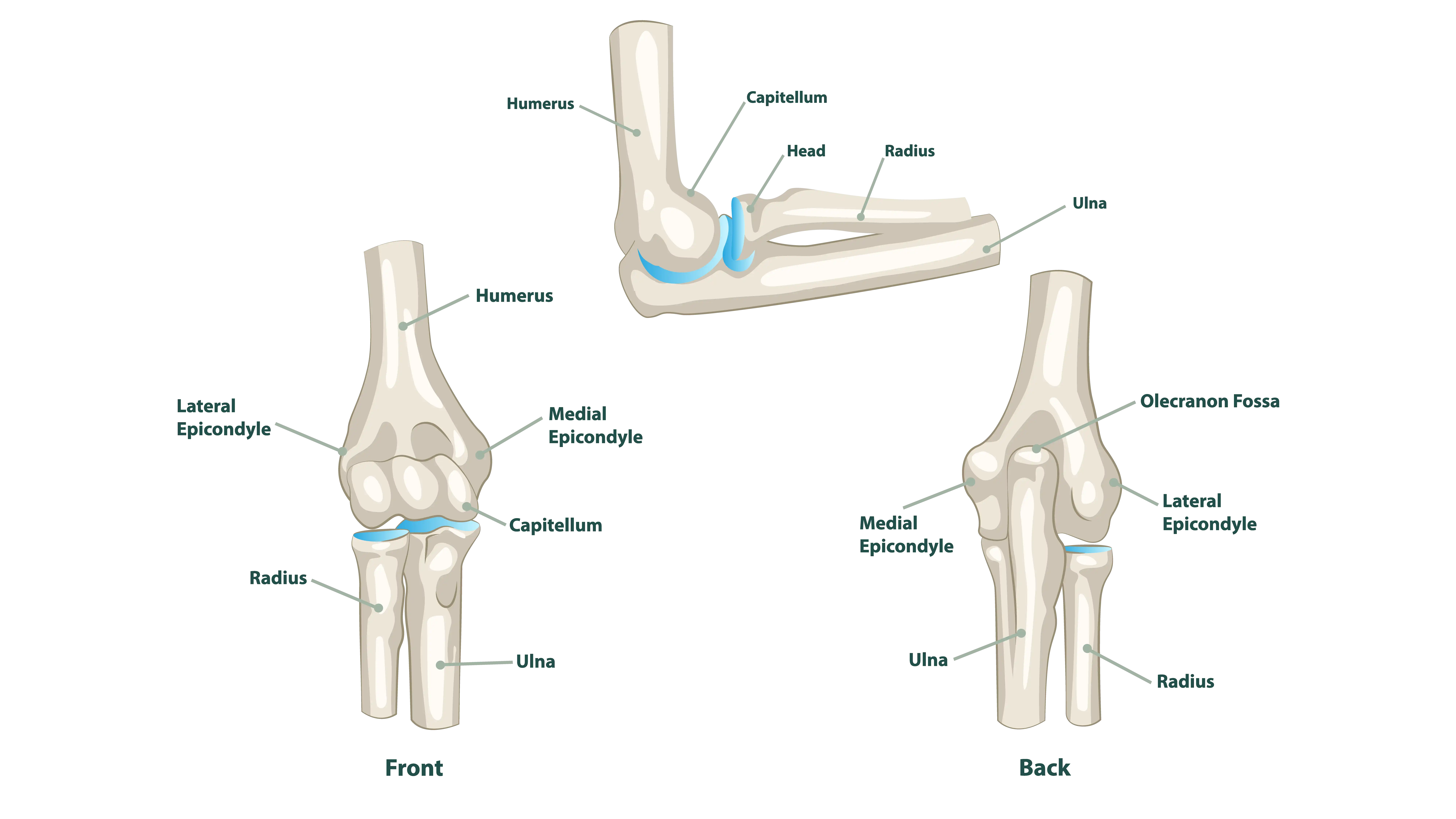 Elbow Disorders Denver CO